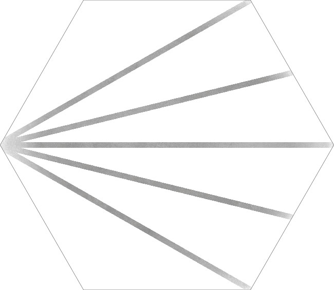 Lines grey